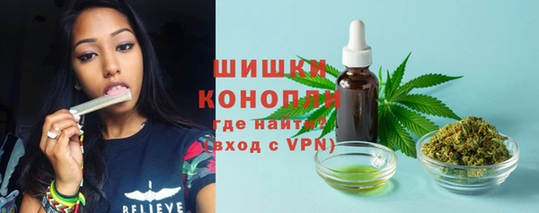 сатива Абдулино