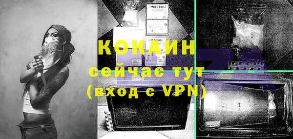дживик Протвино