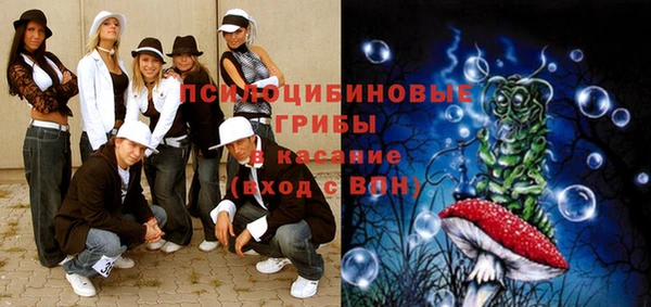 прущая мука Абаза