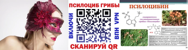 продажа наркотиков Злынка Галлюциногенные грибы Psilocybine cubensis